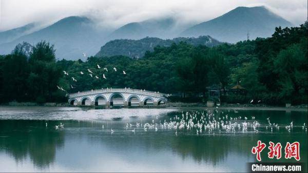 广东观鸟手绘地图大赛启动(图4)