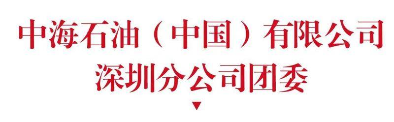 祝贺！团市委授予一批优秀团组织“战疫专项”荣誉称号(图4)