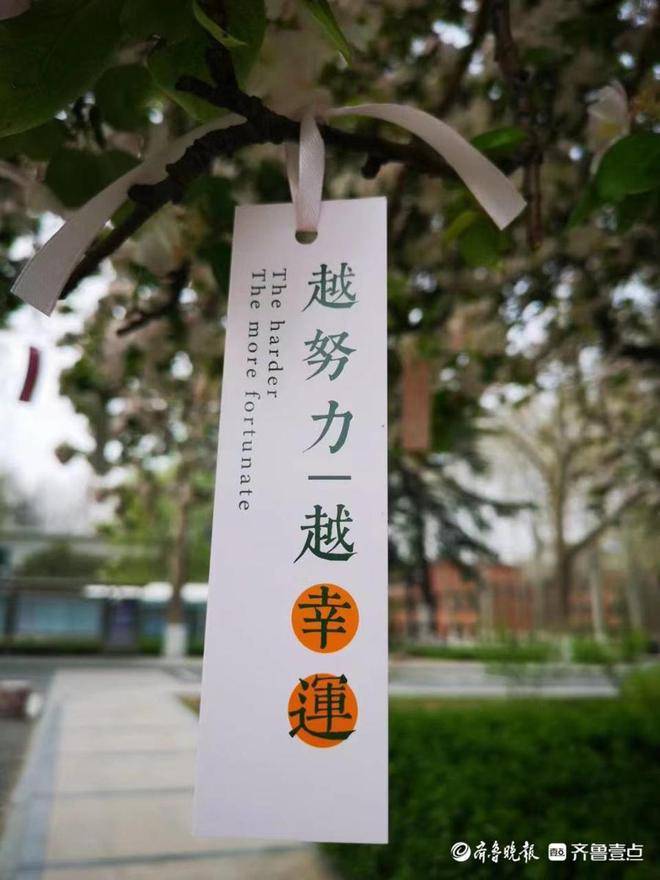 第四届“寻找山东最美大学校园”微视频/摄影大赛启动！拍起来！(图1)