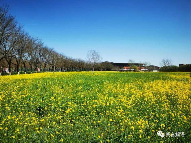 第四届“寻找山东最美大学校园”微视频/摄影大赛启动！拍起来！(图3)