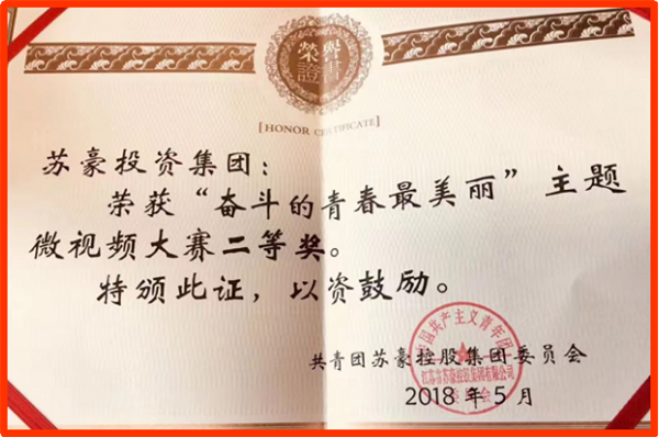 江苏苏豪投资集团有限公司团支部荣获 “江苏省五四红旗团支部”称号(图5)