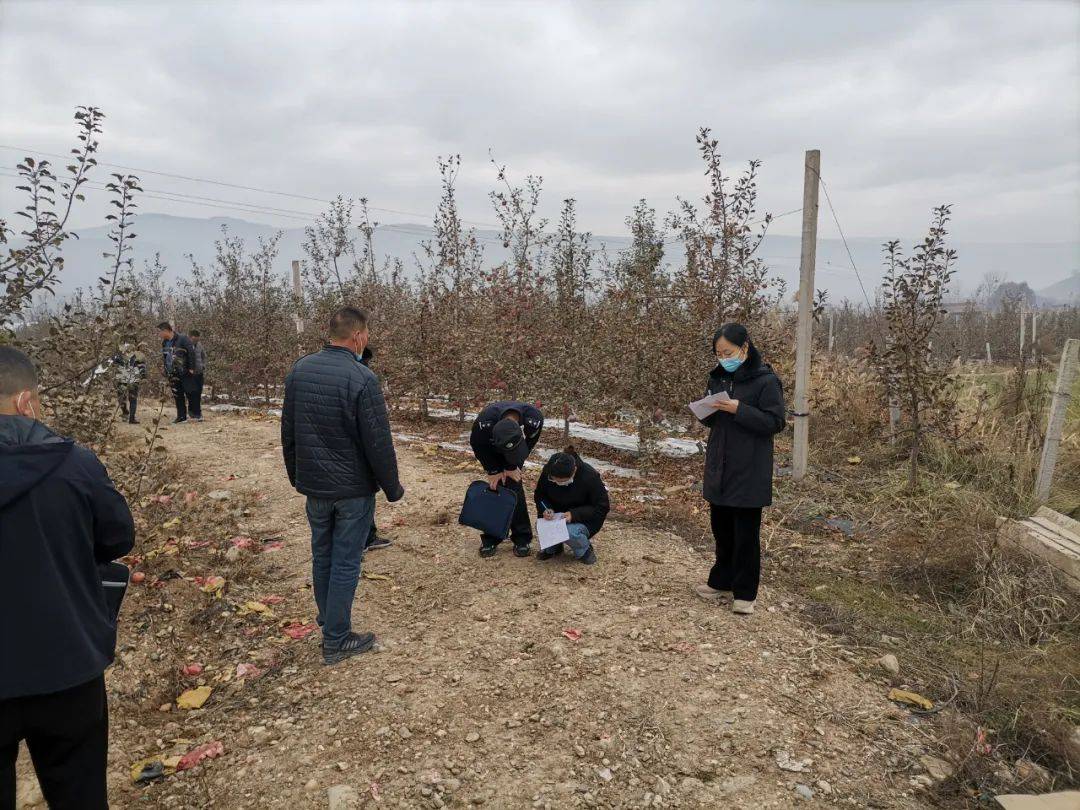 喜讯！秦安**法官邵文霞荣获秦安县第六届道德模范荣誉称号(图5)