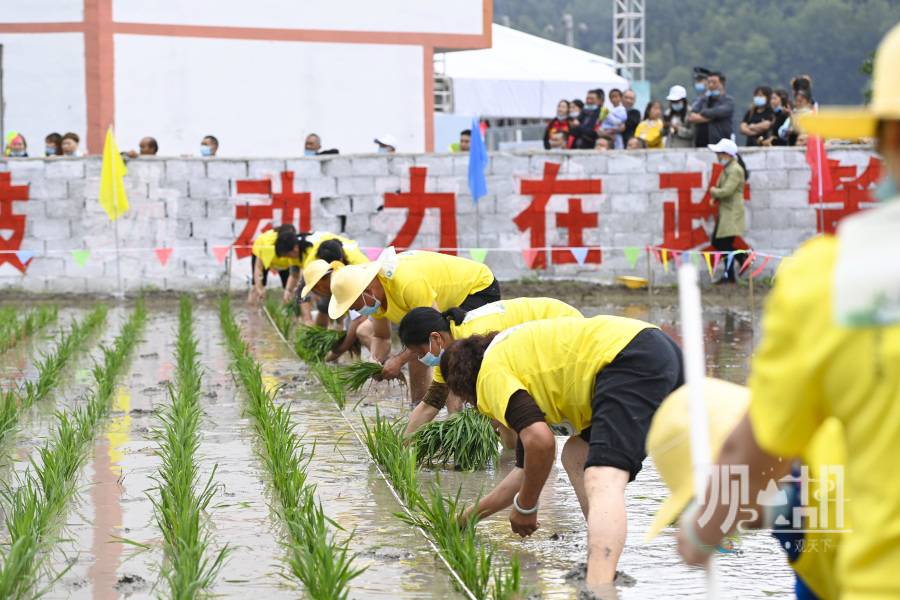 看“新农人”同台竞技 观山湖区首届乡村振兴农技大赛在百花湖畔打响(图6)