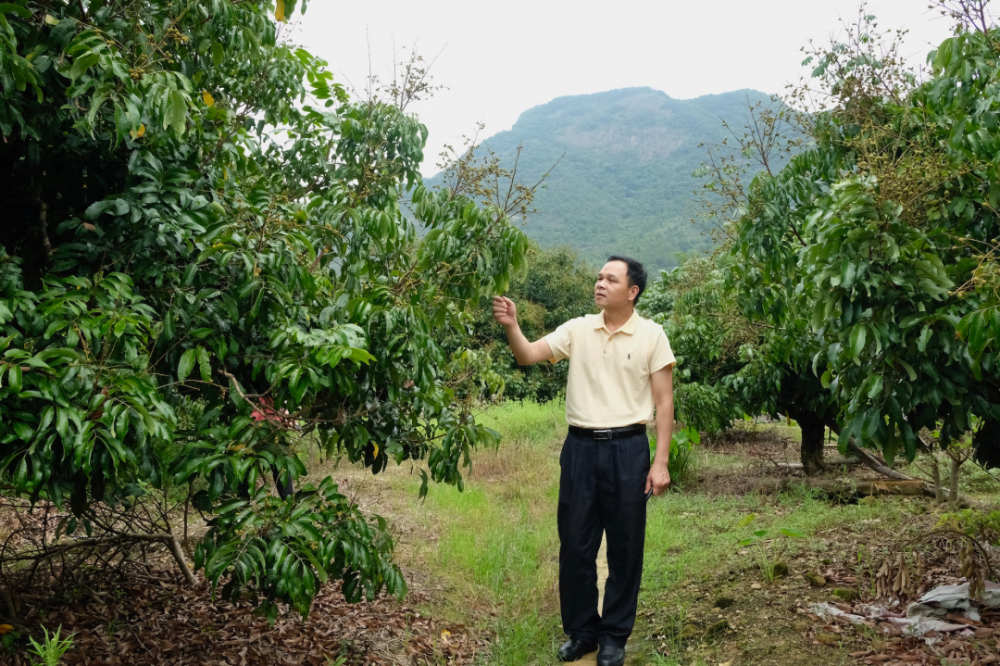 温泉镇傅杰东荣获“广东荔枝龙眼种植工匠”称号(图6)