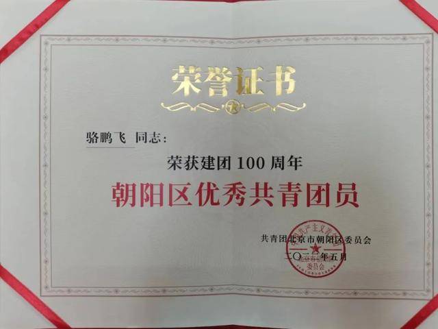 表彰！大屯街道团工委荣获建团100周年“朝阳区五四红旗团委”荣誉称号(图3)