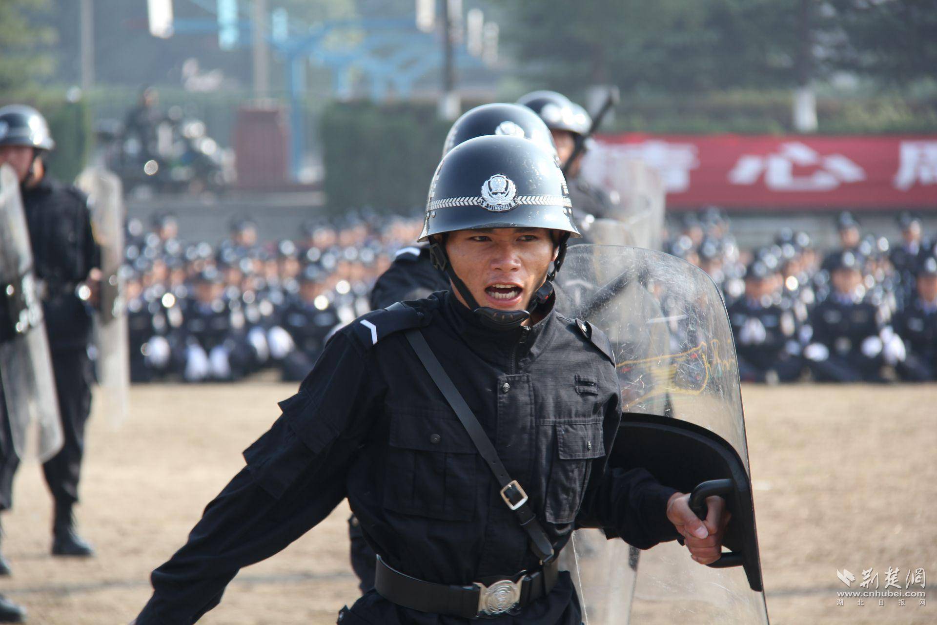 全国表彰！武汉警官职业学院荣获“全国司法行政系统先进集体”称号(图3)