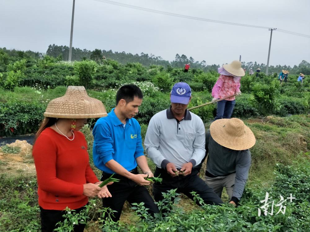 这位廉江“全国劳动模范”再获“国家级”荣誉