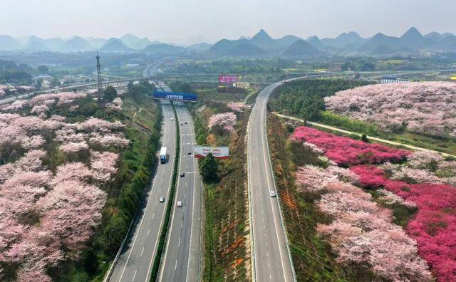 贵阳市又获得国家级荣誉！(图4)