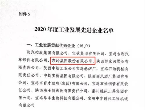 骄傲！2021年东岭斩获这些荣誉(图15)